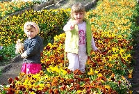 Dzieci i kwiaty:)